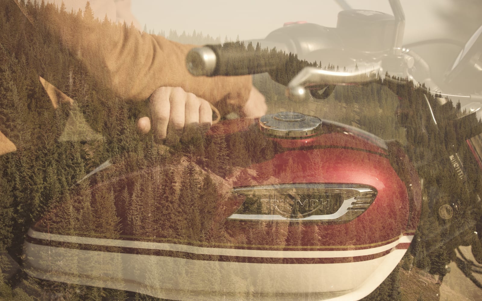 Triumph Bonneville Speedmaster – galeria 3