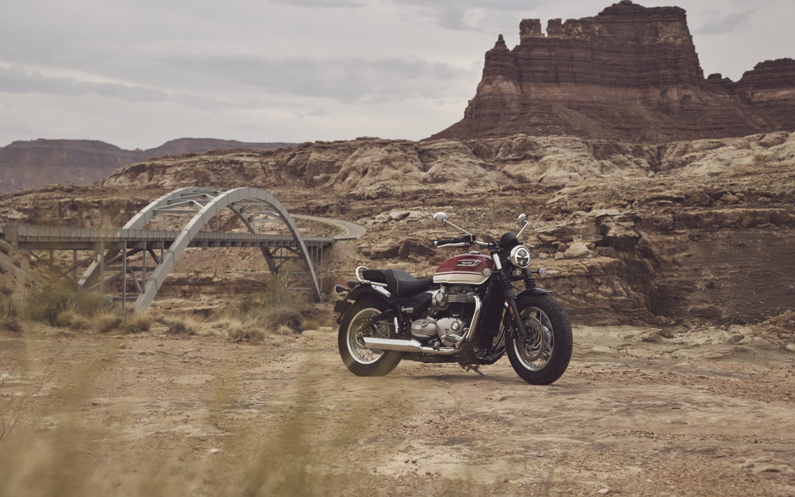 Triumph Bonneville Speedmaster – galeria 5
