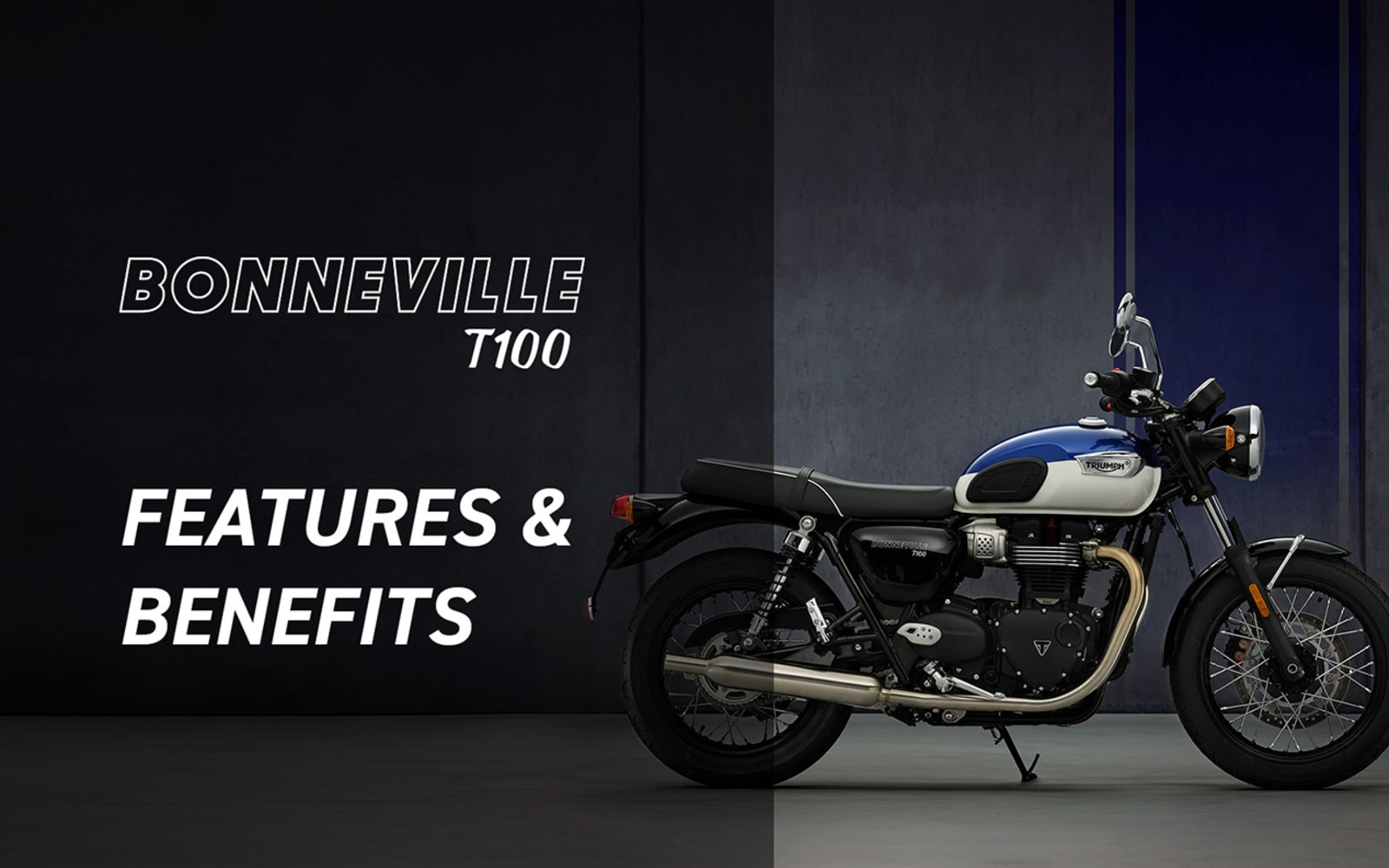 Triumph Bonneville T100 – galeria 1