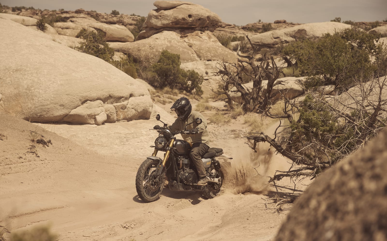 Triumph Scrambler 900 – galeria 3