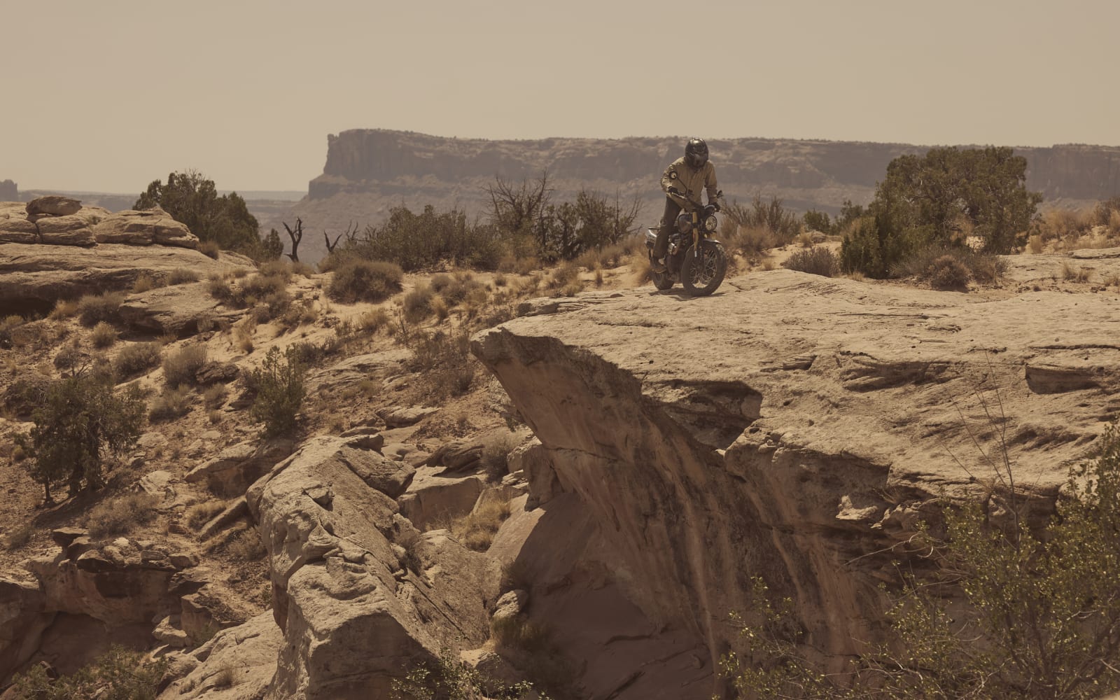 Triumph Scrambler 900 – galeria 5