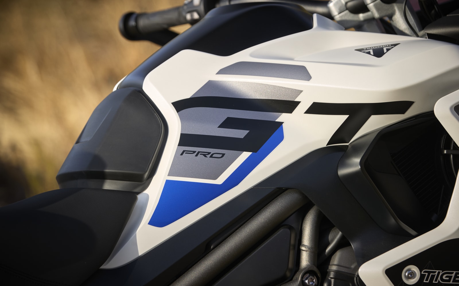 Triumph Tiger 1200 Alpine Edition – galeria 5