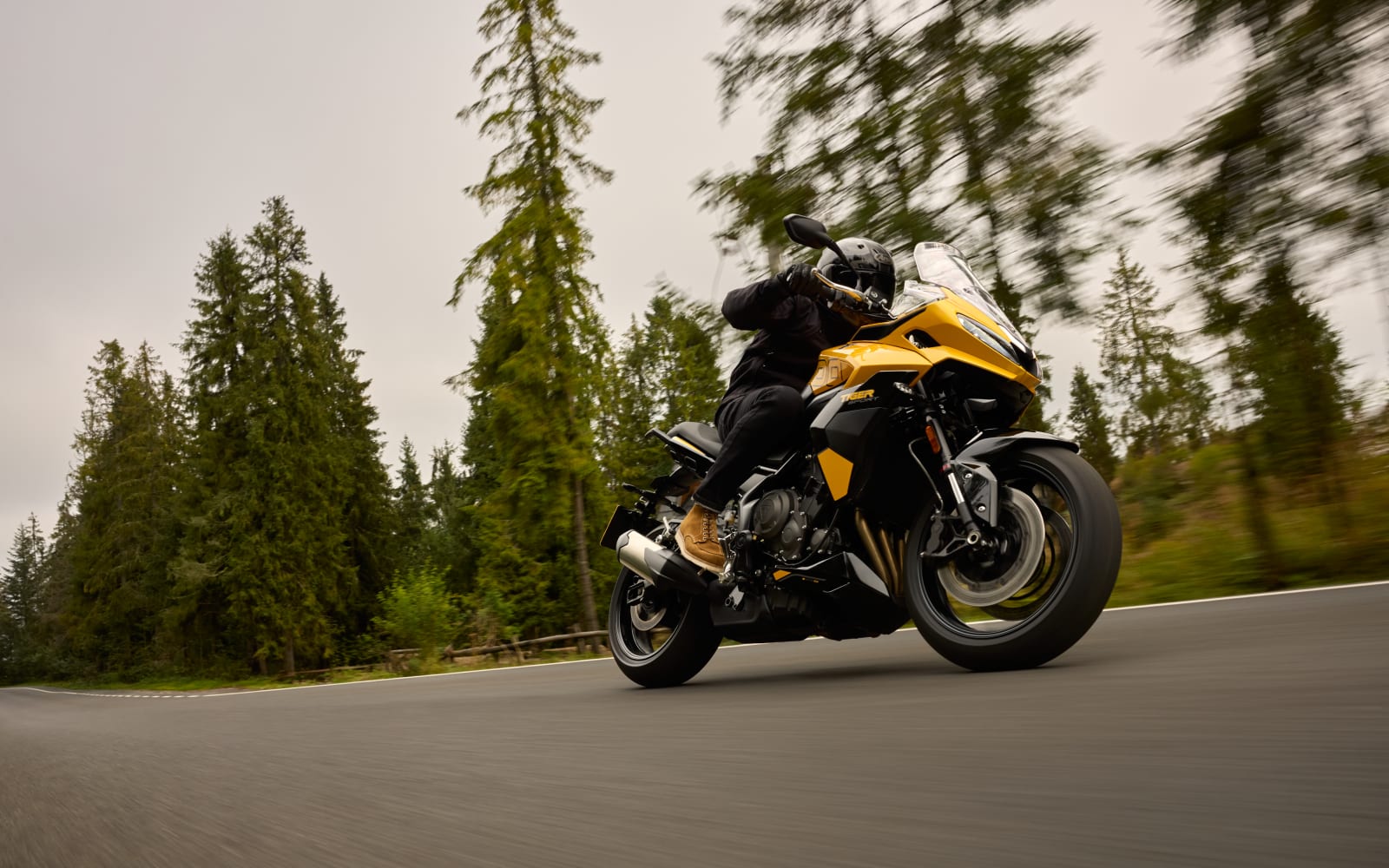 Triumph Tiger Sport 800 – galeria 2